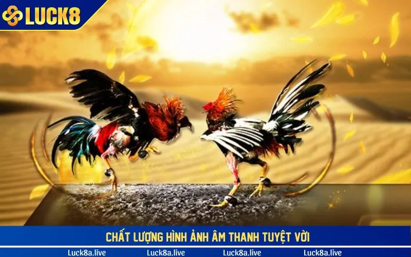 Chất lượng hình ảnh âm thanh tuyệt vời