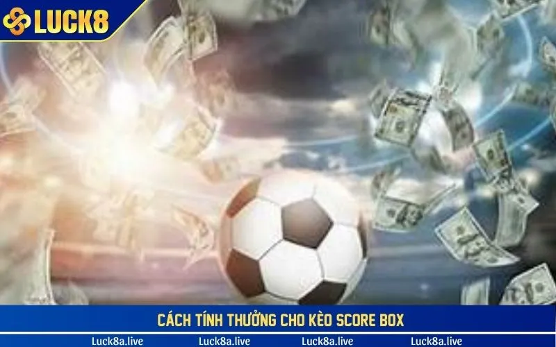 Cách tính thắng thua cho kèo chấp score box hiện nay