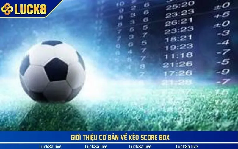 Giới thiệu cơ bản về kèo score box là như thế nào