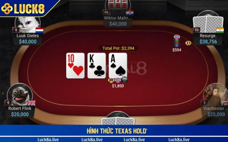 Hình thức Texas Hold’