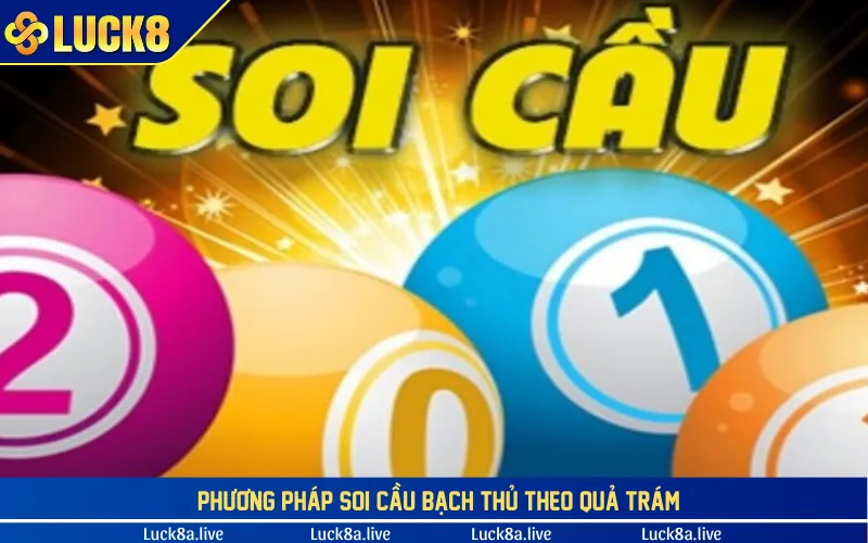 Phương pháp soi cầu bạch thủ theo quả trám